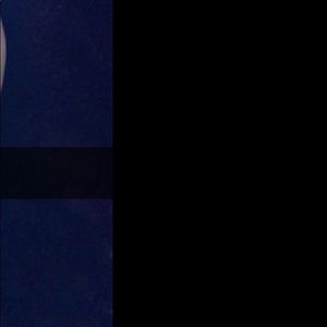 Meet your Posher, Alondra